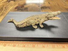 Schleich Crocodile wild animal figurine picture