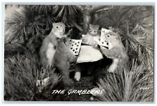 c1940's The Gamblers Mouse Playing Cards RPPC Photo Unposted Vintage Postcard picture