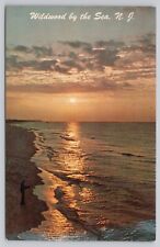 Wildwood New Jersey, Surf Fishing at Sunset Wildwood by the Sea Vintage Postcard picture