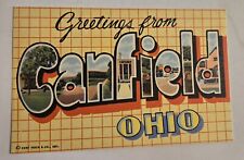 Unused LARGE LETTERS GREETINGS FROM Canfield OHIO CURT TEICH POSTCARD F21 picture