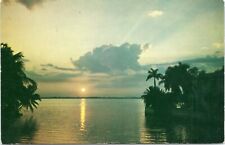 postcard - Sunset in florida with palm trees clouds  picture
