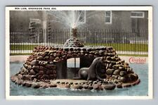 Cleveland OH-Ohio, Brookside Park, Sea Lions, c1920 Antique Vintage Postcard picture