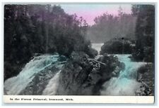 c1910's View In The Forest Primeval Waterfall Ironwood Michigan MI Postcard picture