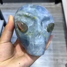 2.45lb Natural Kyanite Quartz Hand Carved Skull Crystal Reiki Healing Decor Gift picture