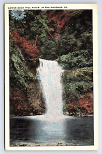 Postcard Lower Buck Hill Falls In The Poconos Pennsylvania PA picture