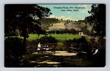 Ann Arbor MI-Michigan, Prospect Point, New Boulevard, Vintage Postcard picture
