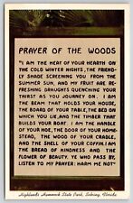 Sebring Florida Highland Hammock State Park Prayer Of Woods Chrome WOB Postcard picture