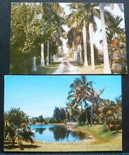 2, 1950s Fairchild Tropical Gardens, Roadway & Garden Pond, Miami Florida  picture