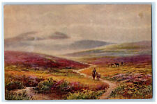 c1910 Horse Riding Picturesque Devon England Antique Oilette Art Tuck Postcard picture