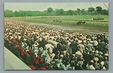 Home Stretch Crowd Horse Race Track Saratoga Springs New York Postcard UnPosted picture