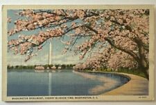 Vintage Postcard, Cherry Blossoms, Washington Monument, Washington DC picture