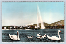 Vintage Postcard Geneve Le Jet d'eau et le Mont Blanc  picture