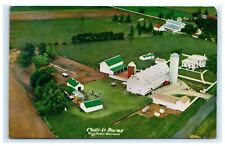 Chilli-O Farms Troy Center WI Wisconsin 1956 Postcard E6 picture