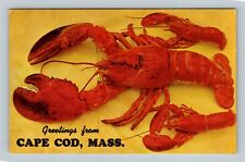 Cape Cod MA, Greetings, Large & Small Lobsters, Massachusetts Vintage Postcard picture