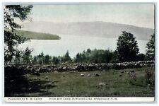 c1920 From Elm Lawn Newfound Lake Mountain Bridgewater New Hampshire NH Postcard picture