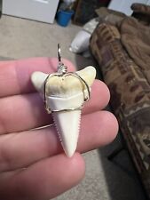 Modern Great White Shark Tooth 1.58” Rare picture
