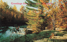Postcard Greetings From Spooner Wisconsin The Rapids Nature Beauty Vintage 209 picture