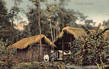 Native Houses and Tropical Scenery, Panama, Early Postcard, Unused  picture