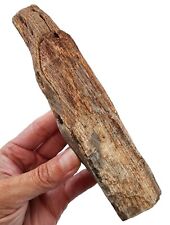 Petrified Wood Specimen Utah 276 grams. Great Display Piece picture