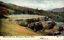 VTG Minerva Terrace Spring Yellowstone National Park Postcard 1910 Post Marked picture