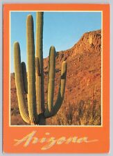 Phoenix Arizona, Giant Saguaro Cactus, Vintage Postcard picture