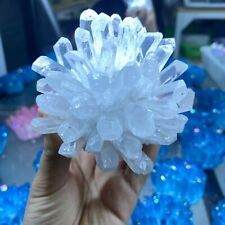 1pc New Find white Phantom Quartz Crystal Cluster Mineral Specimen Healing picture