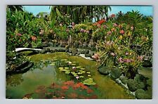 Hilo HI-Hawaii, Kong's Floraleigh Garden, Orchids, Vintage Postcard picture