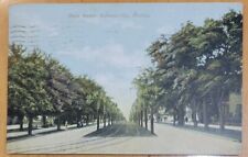  MAIN STREET, JACKSONVILLE, FLA - 1907-1915 POSTCARD picture