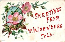 Walsenburg CO Greetings Pink Wild Roses Embossed c1910 Germany postcard DP4 picture