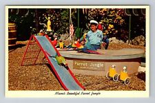 Miami FL-Florida, Parrot Jungle, Parrot Circus, Vintage Postcard picture