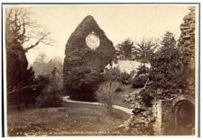 J.V., UK, Scotland (Scotland), Dryburgh Abbey. Vintage St. Catherine's Window picture