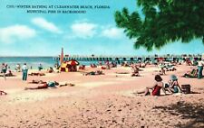 Vintage Postcard Winter Bathing Municipal Pier Background Clearwater Beach FL picture