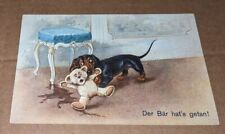 Dachshund Postcard Dog Accident w/ Teddy Bear German Art Card ASM picture