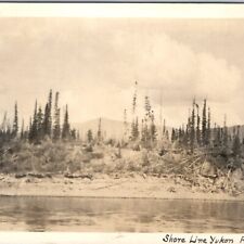 1900s Alaska Yukon River RPPC Shoreline Timber Trees Scene Real Photo PC AK A136 picture