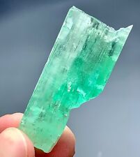 117 Carat Hiddenite Kunzite Crystal From Afghanistan picture