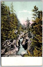 Vtg Vermont VT Cavendish Gorge Rutland Railroad 1910s View Postcard picture