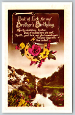 c1960s Best of Luck Brother's Birthday Reproduction Vintage Postcard picture