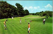 Whitehall MI-Michigan, White Lake Golf Course, Vintage Postcard picture