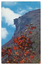 Old Man of the Mountains Franconia Notch NH Vintage Postcard Unused Chrome picture