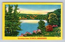 Tunica MS-Mississippi, Greetings, Scenic Lake View, Antique Vintage Postcard picture