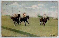 Aiken SC Polo Match Men On Horses South Carolina Postcard B42 picture