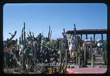 Orig 1960 35mm Slide Woman Amid Cactus at Catalina Airport In The Sky CA picture