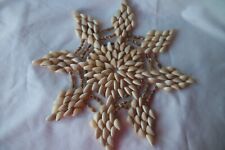 Vintage Sea Shell Doily Hot Pad Trivet Star 10.5 inch picture