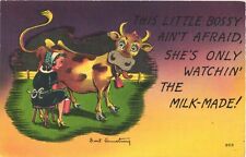 This Little Bossy, Ain't Afraid, She's Only Watchin' The Milk Made Postcard picture