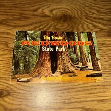Big Basin REDWOODS State Park, California Postcard picture
