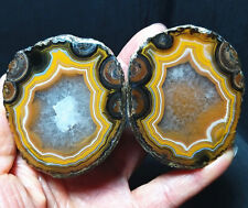 Rare 1 pair 177.3g Natural Warring States Red Agate Eyes Crystal Healing  BA2741 picture