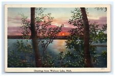 Postcard Greetings Walloon Lake Michigan c1940 Sunset Trees Linen Tichnor picture