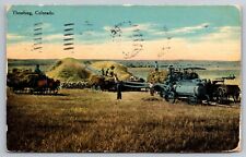 1911. Thrashing, Colorado Vintage Postcard picture