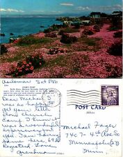 Lover's Point Pacific Grove CA Postcard Used (35926) picture