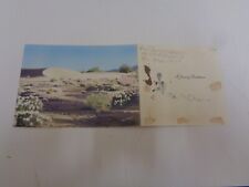 Vintage Stephen H. Willard Palm Springs Hand-Colored Photo Desert 1942 Card picture